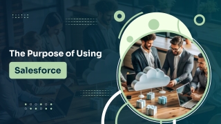 The Purpose of Using Salesforce