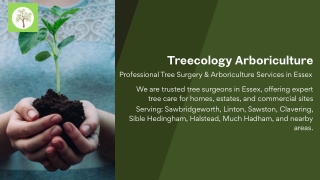 Tree Surgery in Essex Tree Surgeon in Essex Treecology
