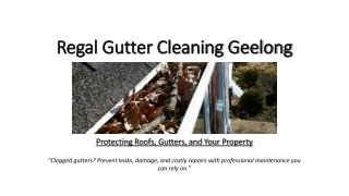 Keep Your Gutters Flowing – Regal Gutter Cleaning Geelong