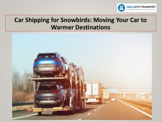 Car Shipping for Snowbirds: Moving Your Car to Warmer Destinations