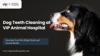 Dog Teeth Cleaning at VIP Animal Hospital