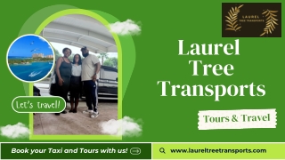 Airport Transfers Nassau Bahamas