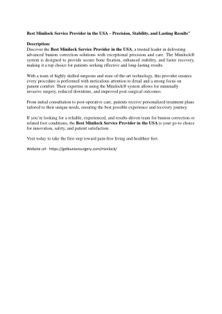 Best Minilock Service Provider in the USA – Precision, Stability,