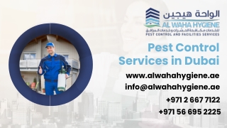 Pest Control in Dubai