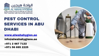 Pest Control in Abu Dhabi