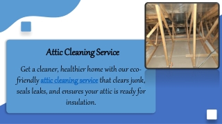 Attic Cleaning Service