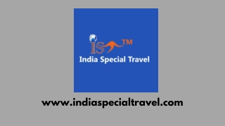 India Travel Agent