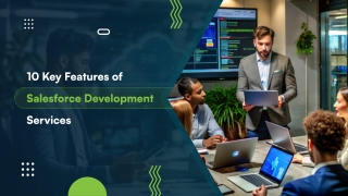 10 Key Features of Salesforce Development Services