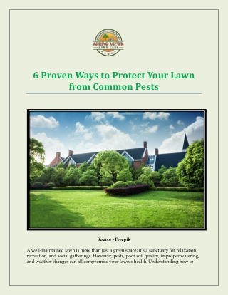 6 Proven Ways to Protect Your Lawn from Common Pests