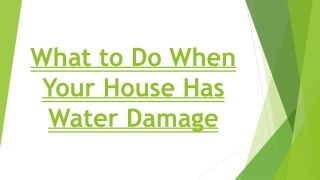 What to Do When Your House Has Water Damage