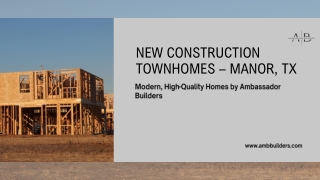 New Construction Townhomes in Manor TX