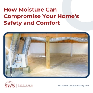Keeping Charlotte Homes Dry: Understanding and Preventing Moisture Damage