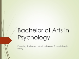 Bachelor of Arts in PsychologyAjman University