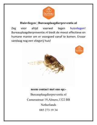 Huisvliegen  Bureauplaagdierpreventie.nl