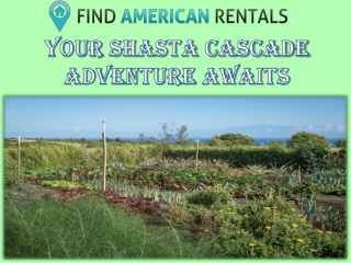 Your Shasta Cascade Adventure Awaits