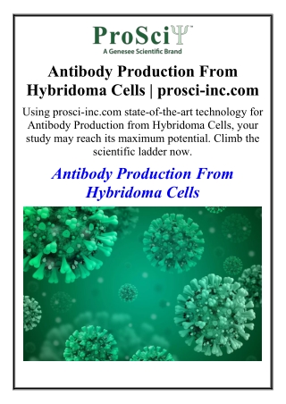 Antibody Production From Hybridoma Cells prosci-inc.com