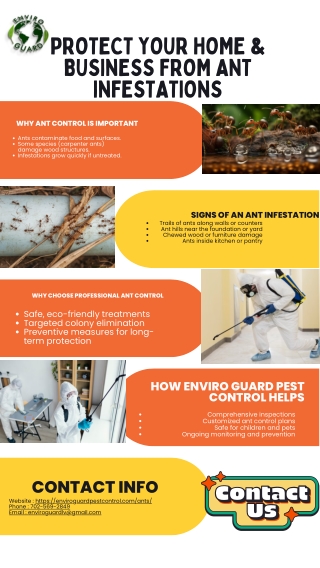 Protect Your Home & Business from Ant Infestations