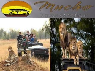 Mount Kilimanjaro Trekking Routes