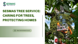 Sesmas Tree Service: Caring for Trees, Protecting Homes