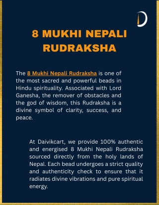 8 mukhi nepali rudraksha