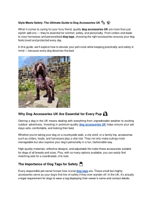 Style Meets Safety: The Ultimate Guide to Dog Accessories UK