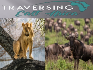 5 Days Ngorongoro Safari