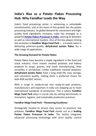 Fanidhar Mega Food Park The Future of Potato Flakes Processing in India