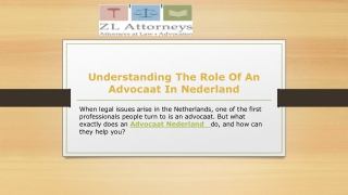 Understanding the Role of an Advocaat in Nederland