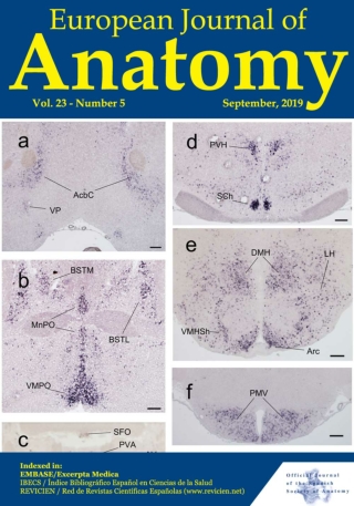 Morphohistometric study of the ligamentum flavum in cervical, thoracic and lumbar vertebrae comparative approach