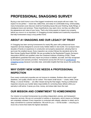 PROFESSIONAL SNAGGING SURVEY