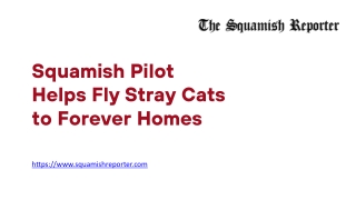 Squamish Pilot Helps Fly Stray Cats to Forever Homes