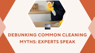 Debunking Common Cleaning Myths: Experts Speak