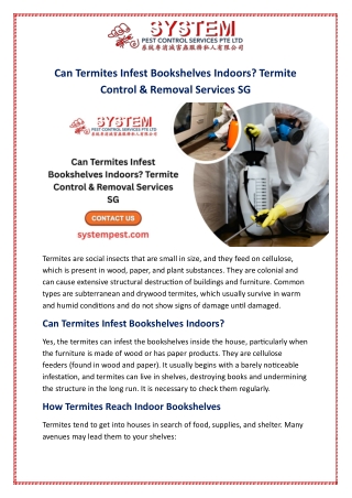 Can Termites Infest Bookshelves Indoors? Termite Control & Removal Services SG