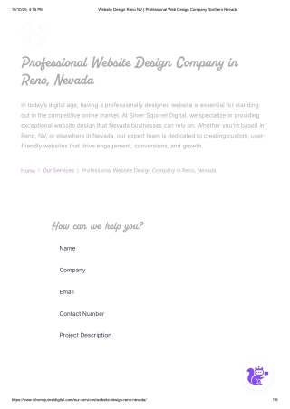 Website Design Reno NV _ Professional Web Design Company Northern Nevada