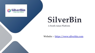 SilverBin: Your Global South Asian Fashion & Lifestyle Hub