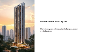 Trident Sector 104 Gurgaon