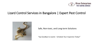 Lizard Control Services in Bangalore