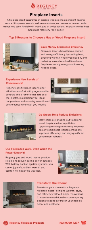 Top 5 Reasons to Choose a Gas or Wood Fireplace Insert!