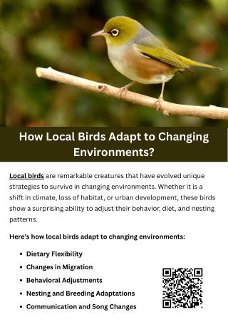 How Local Birds Adapt to Changing Environments