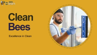 Discover the Best Cleaning Company in New Zealand for a Spotless Home