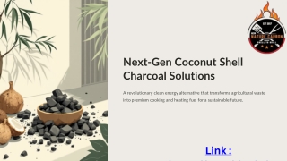 Next-Gen Coconut Shell Charcoal Solutions A Sustainable Future for Cooking and Heating