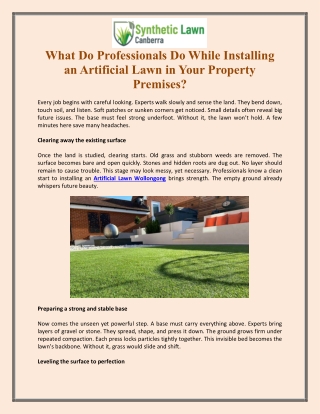 What Do Professionals Do While Installing an Artificial Lawn in Your Property Premises