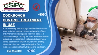 Choosing Reliable Cockroach Control Treatment in UAE That Work