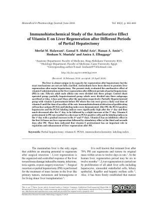 Immunohistochemical Study of the Ameliorative Effect of Vitamin E on Liver Regeneration after Different Periods of Parti