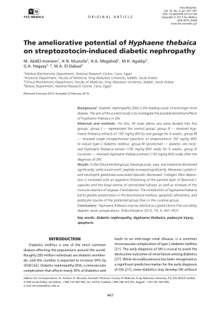 The ameliorative potential of Hyphaene thebaica on streptozotocin-induced diabetic nephropathy