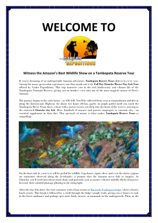 Explore Peru’s Amazon Rainforest on Tambopata Tours