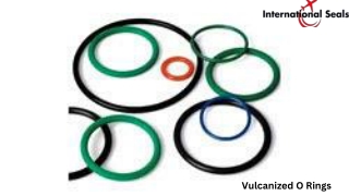 Vulcanized O Rings