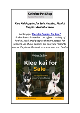 Klee Kai Puppies for Sale Healthy, Playful Puppies Available Now