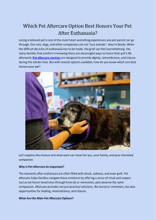 Which Pet Aftercare Option Best Honors Your Pet After Euthanasia