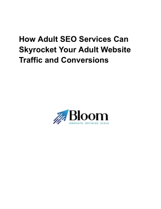 How Adult SEO Services Can Skyrocket Your Adult Website Traffic and Conversions